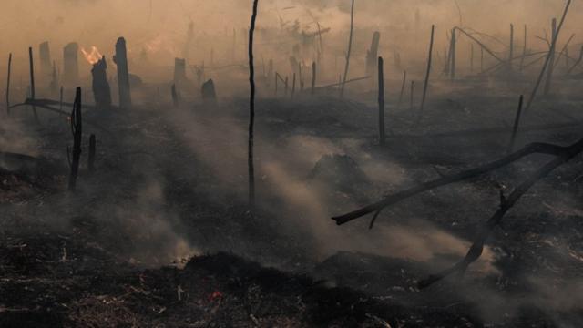 Incêndio em turfeira na Indonésia