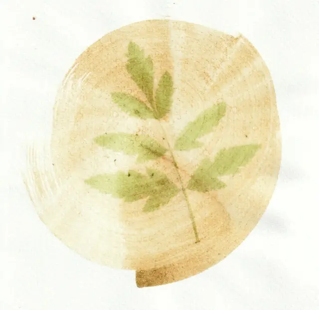 An anthotype print of a green leaf