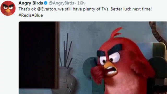 Angry Bird dey shout on top remote