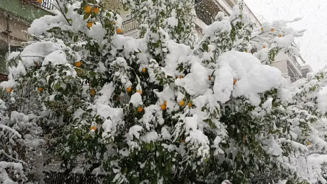 Снегопад в Афинах