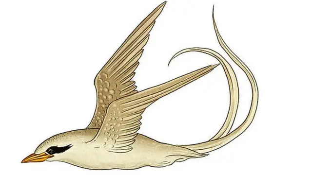 Ilustración de Katie Scott