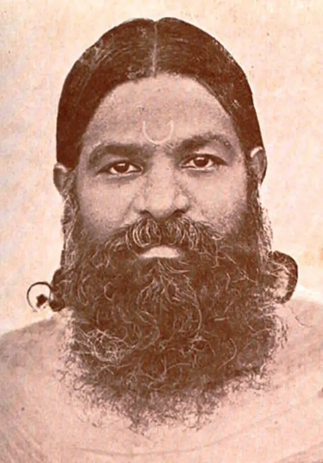 வ.வே.சு. ஐயர்