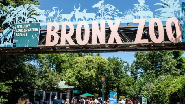 ဘရွန့်ဇ် တိရစ္ဆာန် ဥယျာဉ်ကို ထူထောင်ခဲ့သူတွေဟာ အပေါ်ယံ မှန်သလို ထင်ရပေမဲ့ တကယ်တမ်း လူမျိုးအရ ခွဲခြားမှု အခြေခံတဲ့ ဝါဒတွေကို ဖြန့်ချိရာမှာ လွှမ်းမိုးမှု အရှိဆုံးလူတွေ စာရင်းထဲ ပါဝင်နေကြ