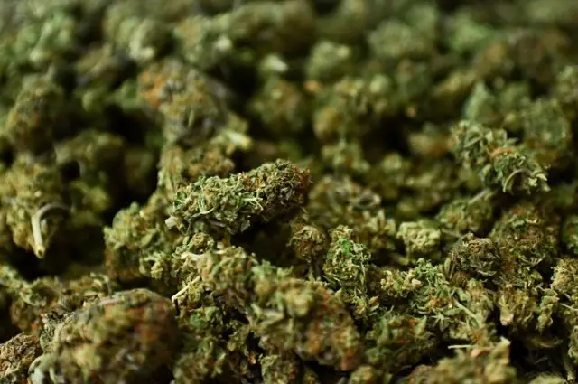 กัญชาอัด