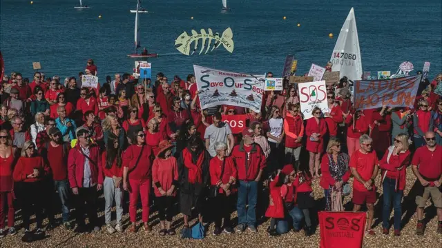 Протесты на пляже Танкертон в Уитстабле