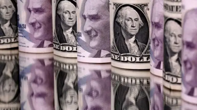 Dolar ve TL banknotları