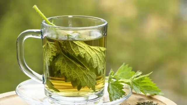 Стакан чая с крапивными листьями