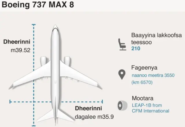 Xiyyaara Boeing 737