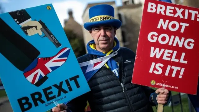 反对脱欧的抗议者