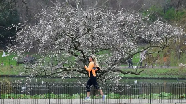 นักวิ่ง