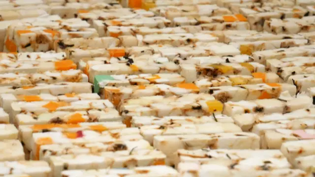 Cientos de barras de Eco Soap