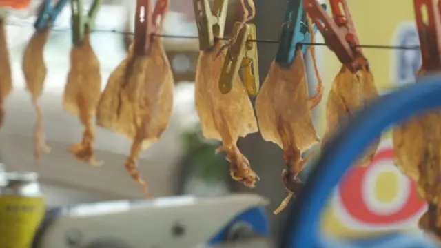 कंबोडिया