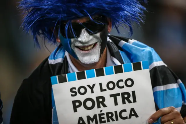 Aficionado de Gremio