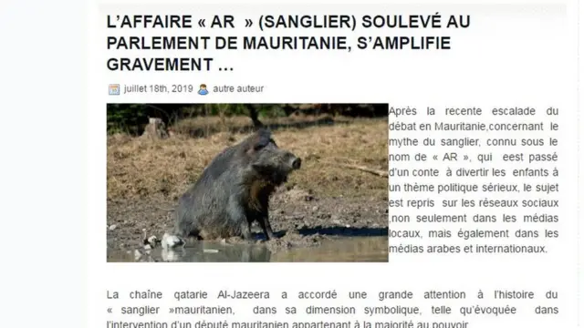 Une capture d'écran de l'article du site Adrar.info sur le lien établi par un député entre le sanglier du conte pour enfants et le régime politique mauritanien.