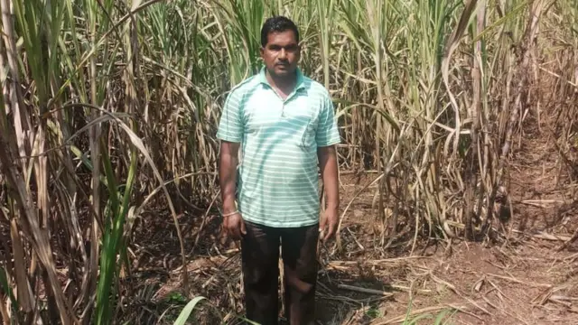 ऊस शेतकरी