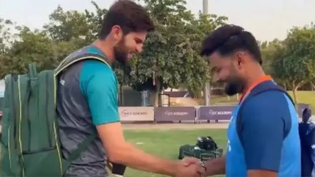 షాహీన్, పంత్