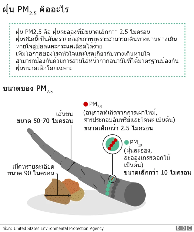 กราฟฟิค3