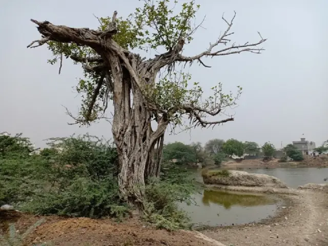 रोहनात गाव