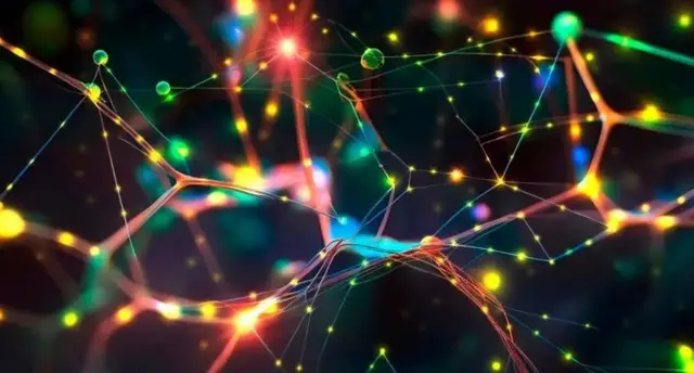 Мия фаолияти тўлқинлари