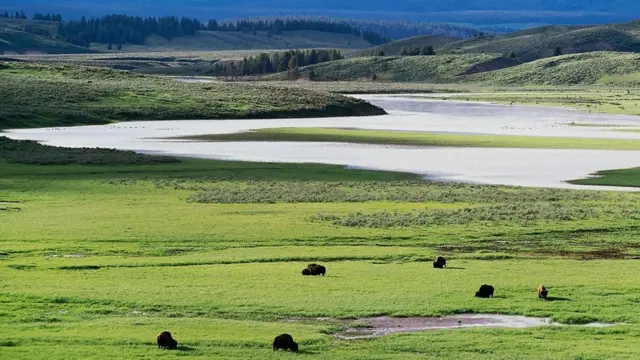 Єллоустоун