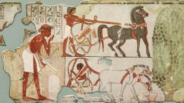 मानव सभ्यता