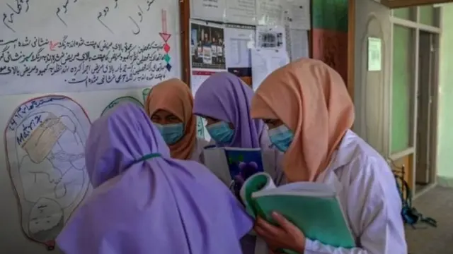 తాలిబాన్