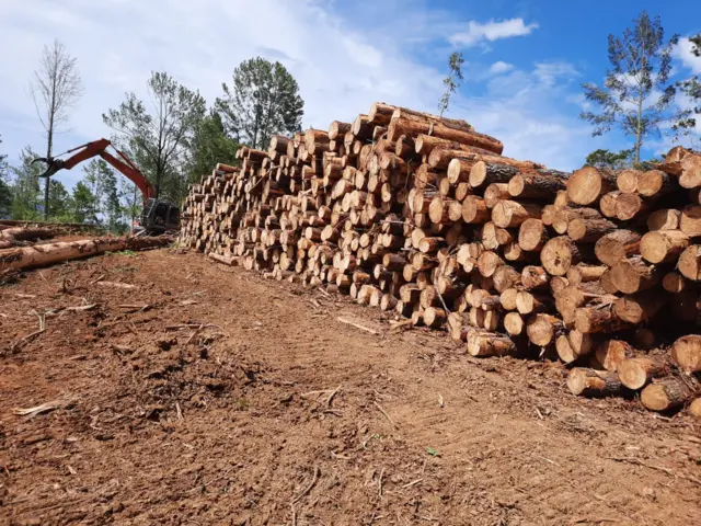 Perusahaan Prabowo Subianto