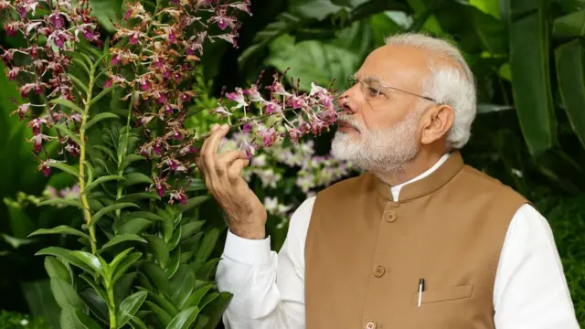 વડા પ્રધાન નરેન્દ્ર મોદી