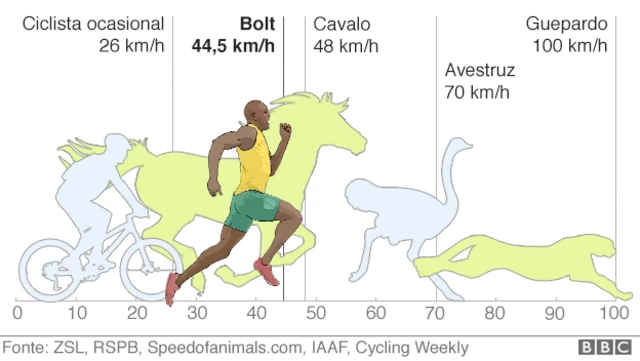 Comparação da velocidadewhatsapp da betanoBolt