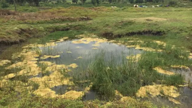 ሀሮማያ ሀይቅ ሊጠፋ በተቃረበበት ወቅት