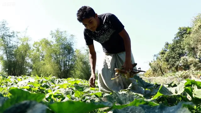 রোহিঙ্গাদের আশ্রয় দিয়েছিলেন রিয়াদ মোহাম্মদ।