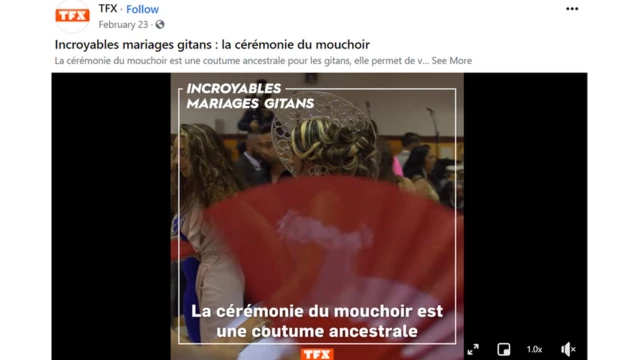 TFX वरच्या कार्यक्रमाची जाहिरात करणारी फेसबुक पोस्ट