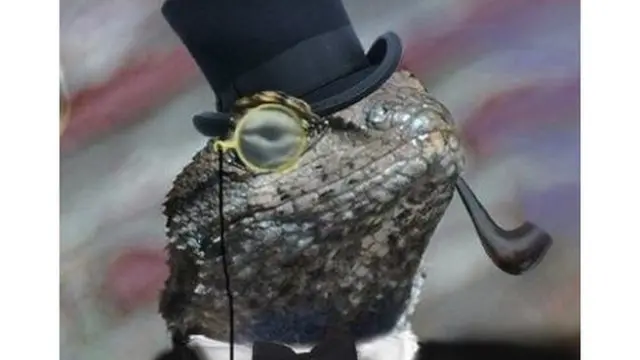 Logo Odreda guštera