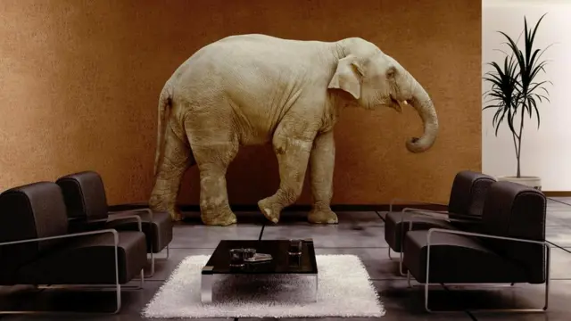 Какое животное унаследует Землю? Вряд ли это будут слоны...