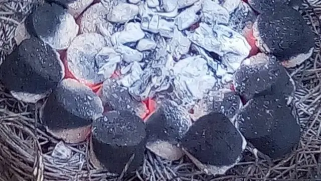 ONG Niger vert; Idrissa Abdou Zakari; Moussa Harouna Haladou; Aminatou Barazé Sounna; Rémy Nsabimana; Afrique Avenir; BBC Afrique