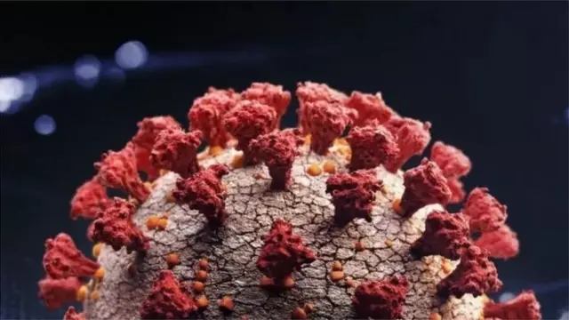 પ્રતીકાત્મક તસવીર