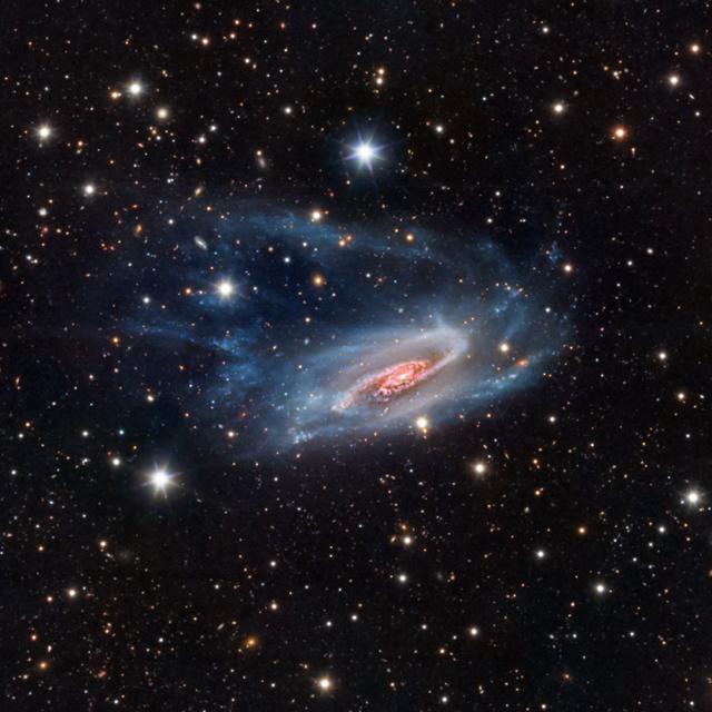 Foto galaksi NGC 3981 hasil jepretan Bernard Miller.