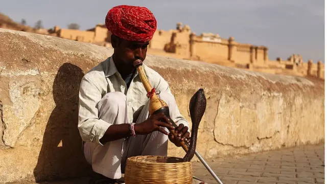 बायकोला 'साप सोडून' मारण्याचा नवा ट्रेंड, केरळमधली धक्कादायक घटना