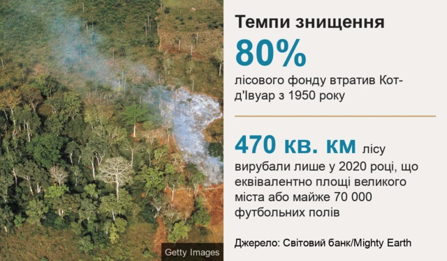 ліси