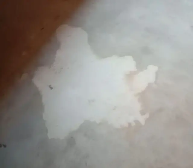 क्लास के फर्श पर जहां संजना ने उल्टी की थी वहां इस तरह का निशान पड़ गया है.