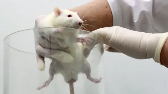 'छड्ड यार' जैसे मुहावरे हर संस्कृति में हैं