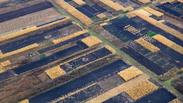 Файна Юкрайна