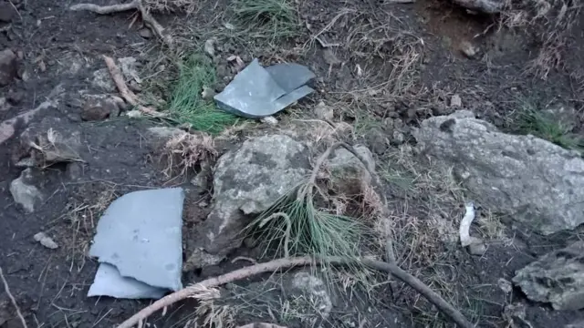 पाकिस्तान का दावा, भारतीय विमानों ने एलओसी पार किया