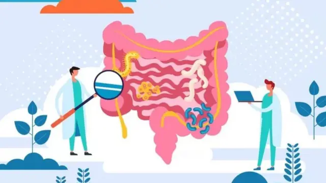 డయేరియా