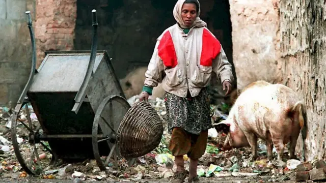 ભારતમાં જાતિ વ્યવસ્થા