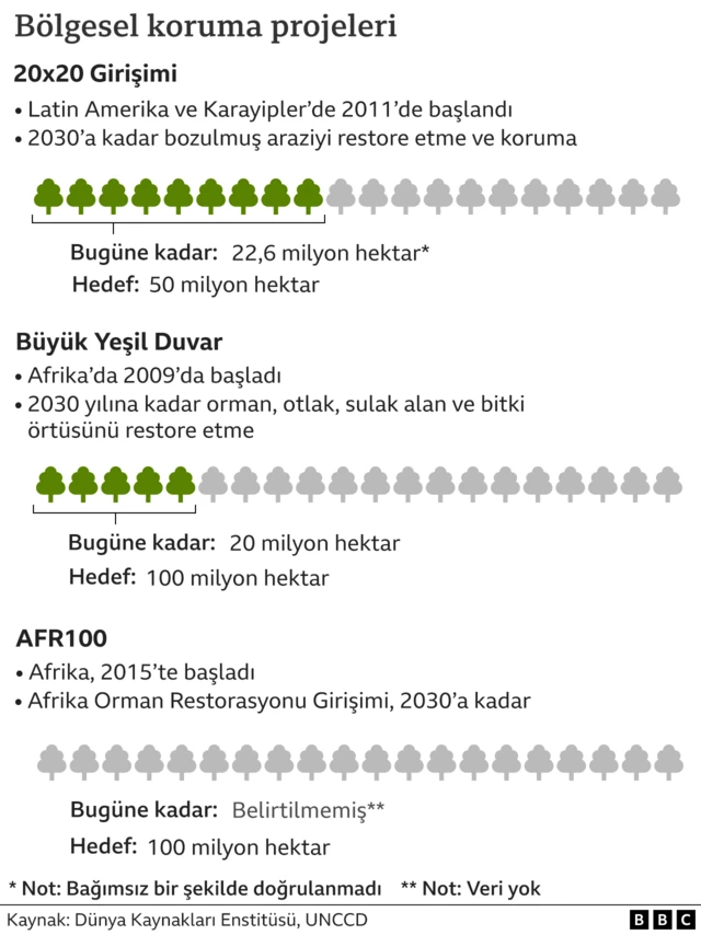 bölgesel koruma projeleri