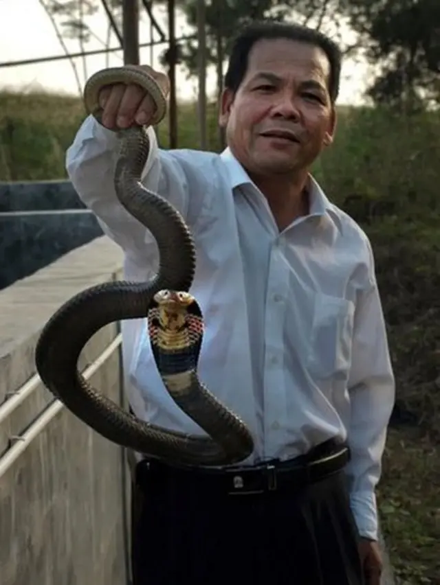 Jiang Weisong, the former director of the Earthquake Bureau at Nanning, China holding one of the snakes that he thinks may help to predict earthquakes
