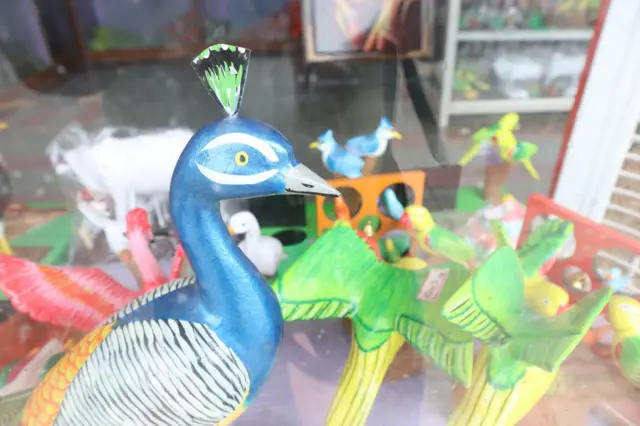 అడవుల పెంపకం, హరితహారం నర్సరీల్లో స్థానిక మొక్కలకు ప్రాధాన్యత ఇవ్వాలని వృక్షశాస్త్ర నిపుణులు కోరుతున్నారు