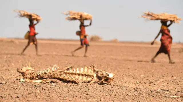 લાંબા સમયથી આકરા દુષ્કાળનો સામનો કહી રહેલા કેન્યાના મારાસાબિતની આ તસવીર 12 જુલાઈ 2022ના રોજ લેવાઈ છે.