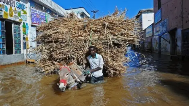 عربة يجرها حمار وسط الفيضانات
